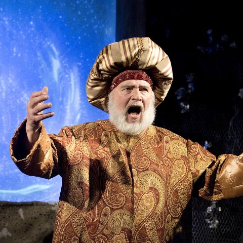 2019, "Иолана": Врач