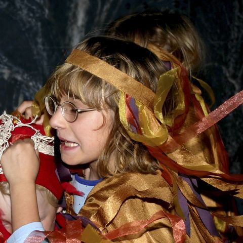2005, "Скрипач на свадьбе"